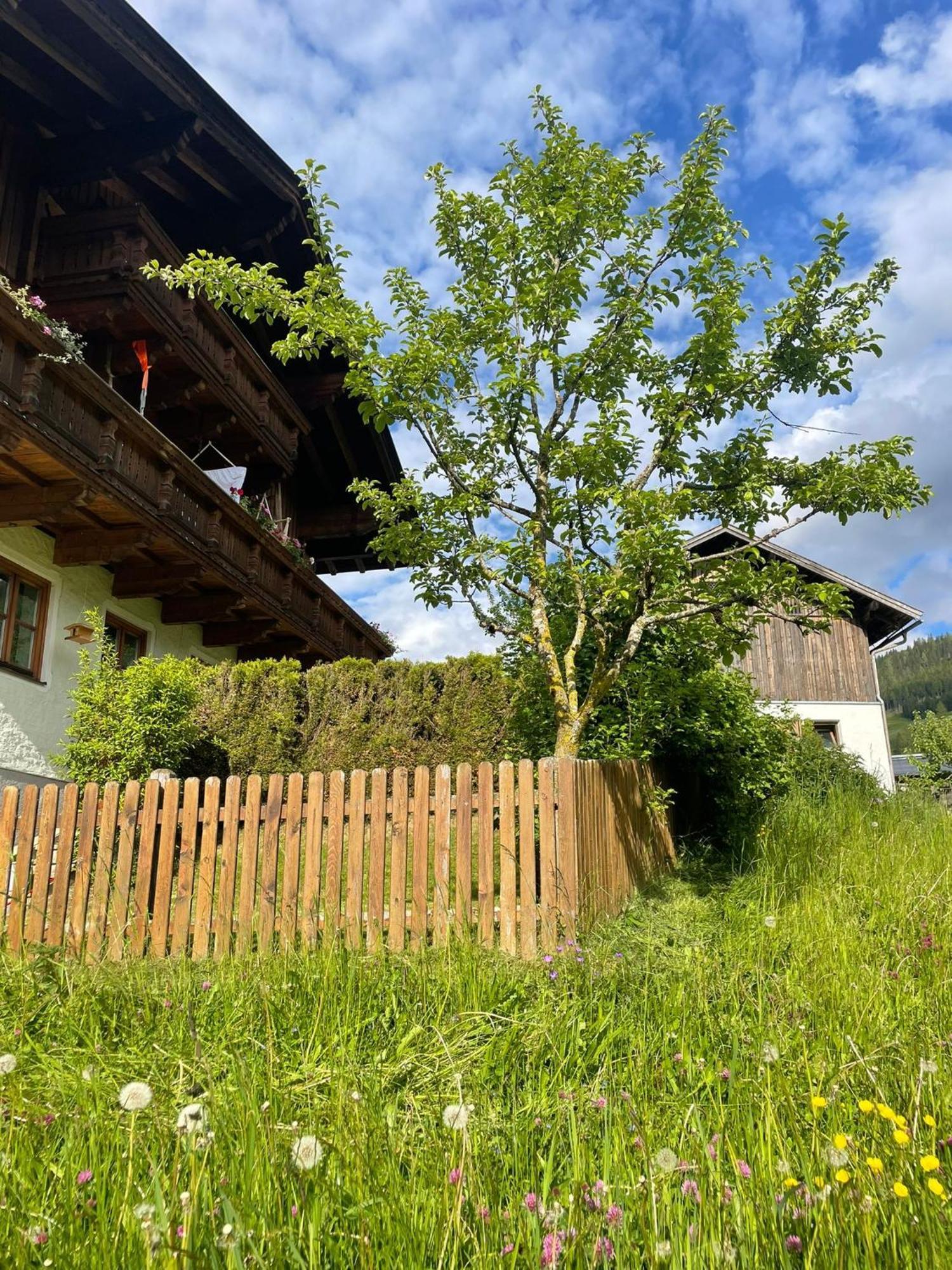 Apartment Antenbachhof Grossarl